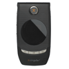 Cingular 3100